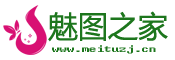 魅图之家logo